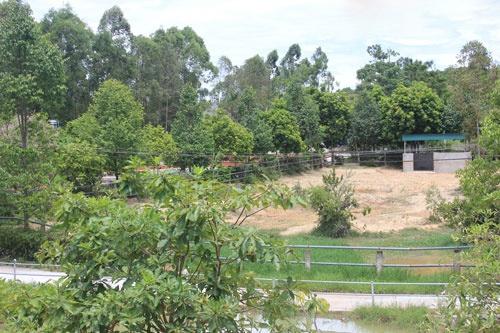 Khu vực nuôi nhốt tê giác.