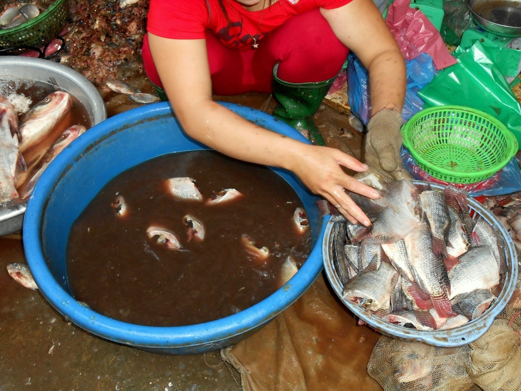 Ca uon loc san gia 20.000 dong/kg o cho dau moi hinh anh