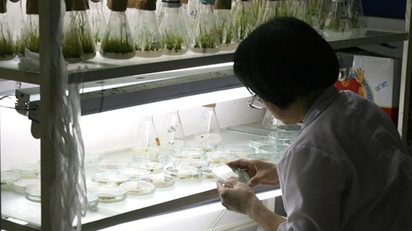 Luong 'khung' o Vien nghien cuu dac biet V- KIST hinh anh