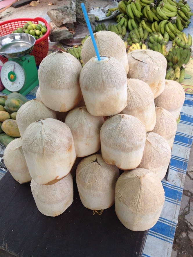 Những trái dừa tươi ngâm hóa chất đang có dấu hiệu chuyển màu.