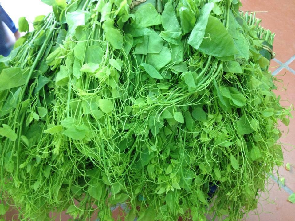 Vi sao rau qua nui rung gia 'tren troi' hut khach thanh thi? hinh anh