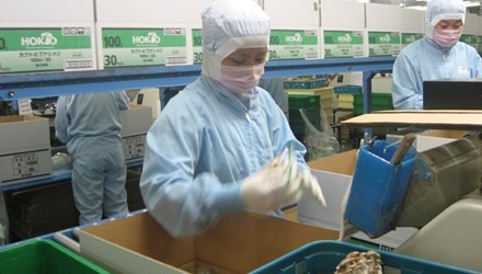 Xuat khau lao dong sang Nhat Ban: Can than chieu lua moi hinh anh