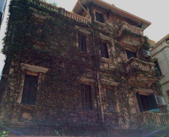 Trông căn biệt thự này khá cổ kính khi dây leo đã phủ kín.