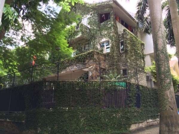 Nha giau Ha Noi ro mot trang tri biet thu bang day leo hinh anh