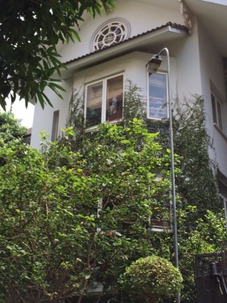 Cây dây leo cũng đang phủ kín một nửa căn biệt thự này.