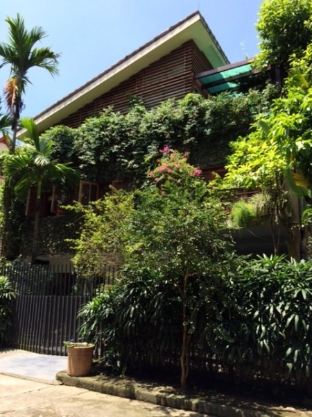 Mỗi biệt thự một kiểu trang trí cây xanh....