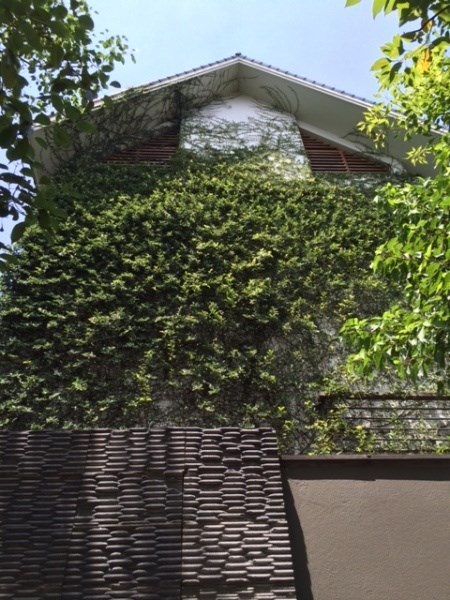 ... và mang những dáng dấp, vẻ đẹp khác nhau.