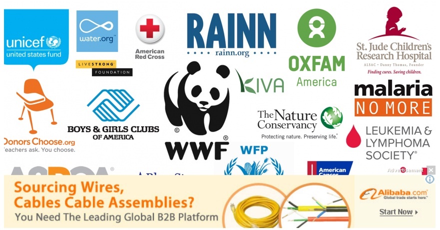 10 to chuc phi loi nhuan co ngan sach hang ty do moi nam hinh anh