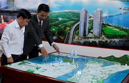 Nhon nhip thau tom bat dong san hinh anh