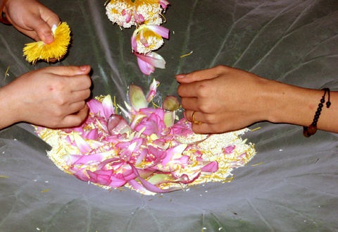 Gạo sen là nguyên liệu chính để ủ, để được một kg trà sen thành phẩm phải qua 5-6 lần ủ