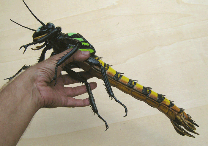   Chuồn chuồn khổng lồ: Meganeura có sải cánh lên đến 70cm, bằng với chiều dài của cánh tay con người. Xem ảnh sau