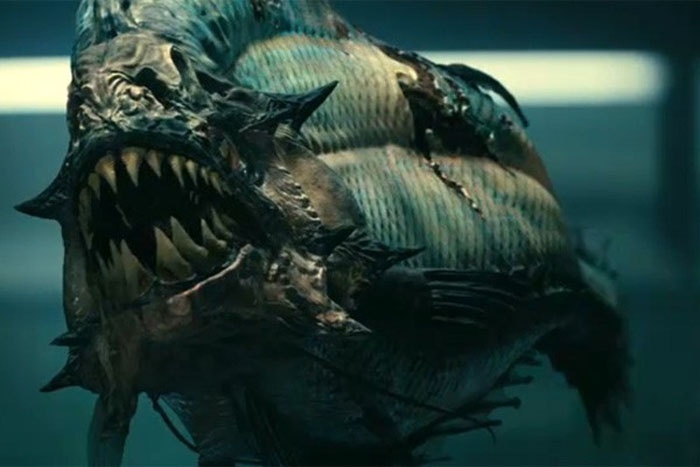 Cá Piranha khổng lồ sống vào 8 - 10 triệu năm trước và dài đến 1 mét, lớn gấp 3 lần so với loài piranha hiện đại ngày nay.