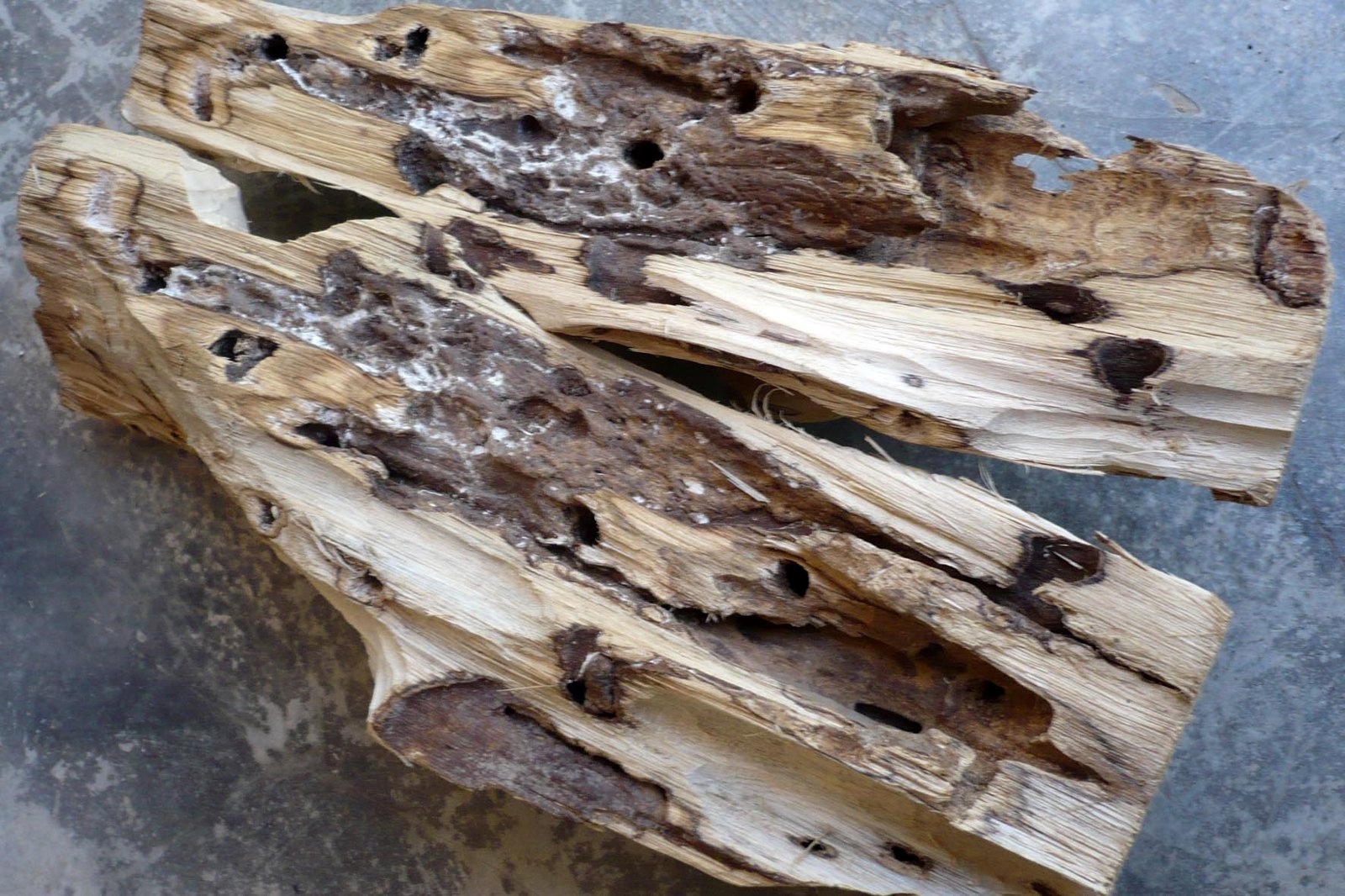 'Vang tho' tram toc o vung Bay Nui hinh anh