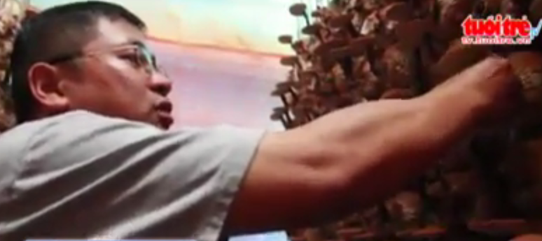 Nam linh chi do cho thu nhap nhieu nong dan mong uoc hinh anh