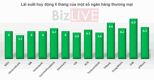 Với kỳ hạn 6 tháng, SHB dẫn dầu với lãi suất 6,9%/năm, tiếp theo là TPBank với 6,6%/năm. 