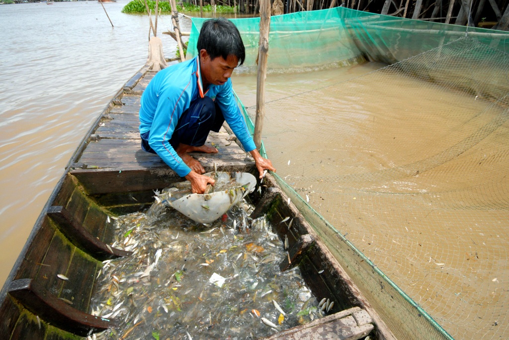 Dan mien Tay that thu ca linh vi it nuoc lu hinh anh
