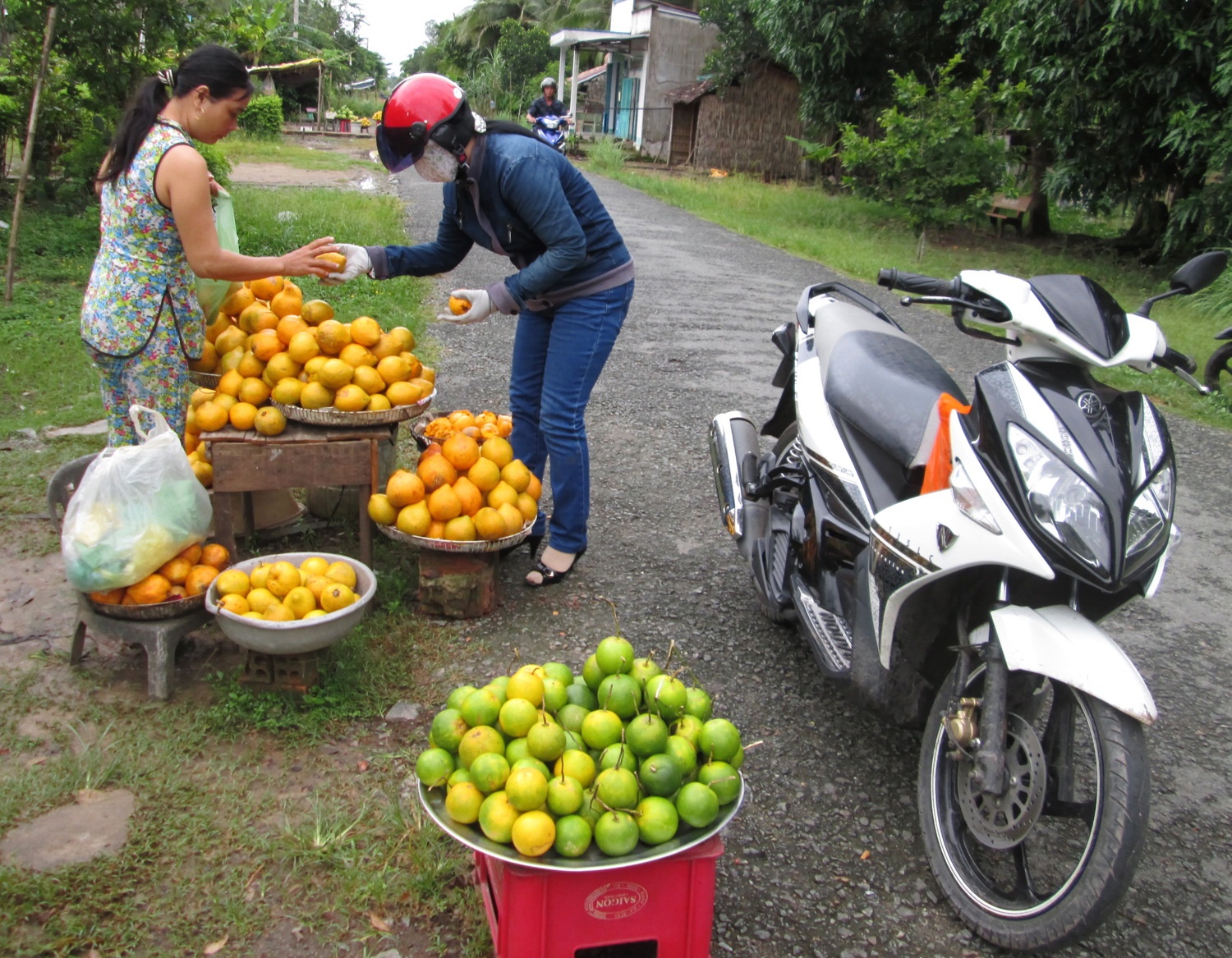 Trong lekima 7 ngay hai 1 lan o mien Tay, thu 30 trieu/thang hinh anh
