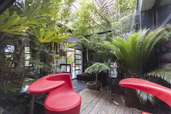 Ngoài vườn, những chiếc ghế đỏ nổi bật là nơi có thể ngồi thư giãn, đọc sách hoặc trò chuyện.