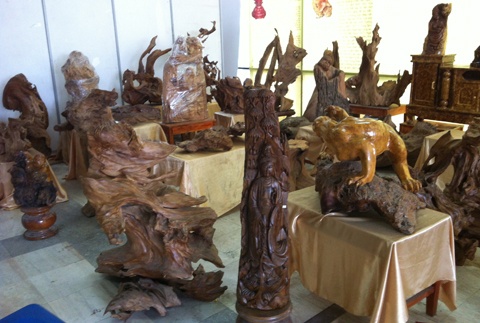 Đủ mọi hình thù, đủ cách chế tác, từ thủ công, để thô… cho đến trạm trổ, đục khắc tinh vi…, hàng trăm sản phẩm đồ lũa khiến khu trưng bày tràn ngập mùi tinh dầu ngọc am. Là loài gỗ quý phân bố đặc trưng ở vùng miền núi Hà Giang, đặc biệt là hai huyện phía Đông (Xín Mần và Hoàng Su Phì) trên đ, những năm gần đây, chúng đang trở thành những món đồ mà nhiều người thích sưu tầm muốn trưng bày trong nhà.