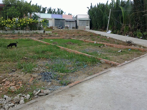 Chỉ cần làm con đường bê-tông, chủ đất chia ra cả chục lô để bán nền.