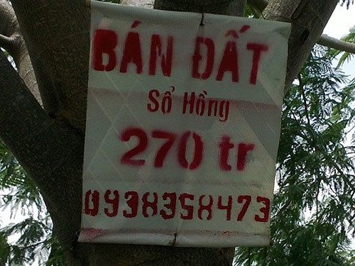 Rui ro khi mua dat nen gia re hinh anh