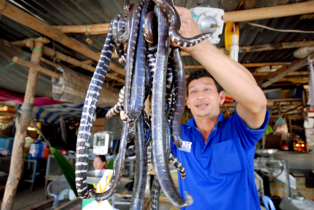 Nhung cho dac biet chi co trong mua lu hinh anh