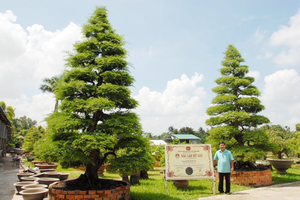 Nhung vuon kieng bac ty noi tieng o mien Tay hinh anh