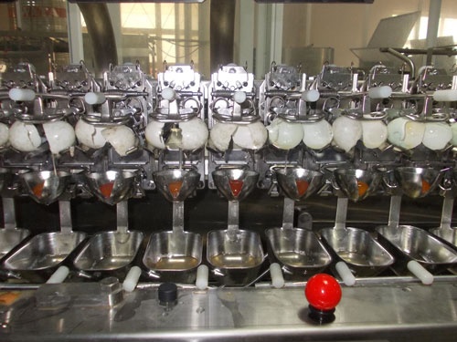 Bot trung thay the trung tuoi hinh anh