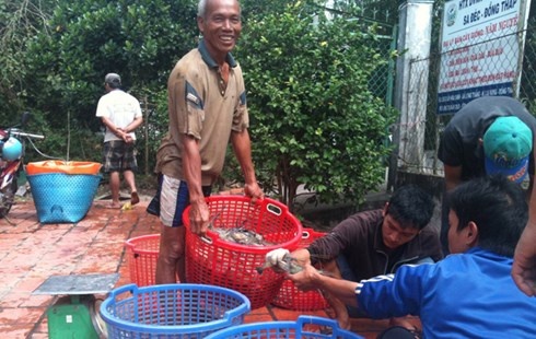 'Hot bac' voi tom cang xanh mua nuoc noi hinh anh