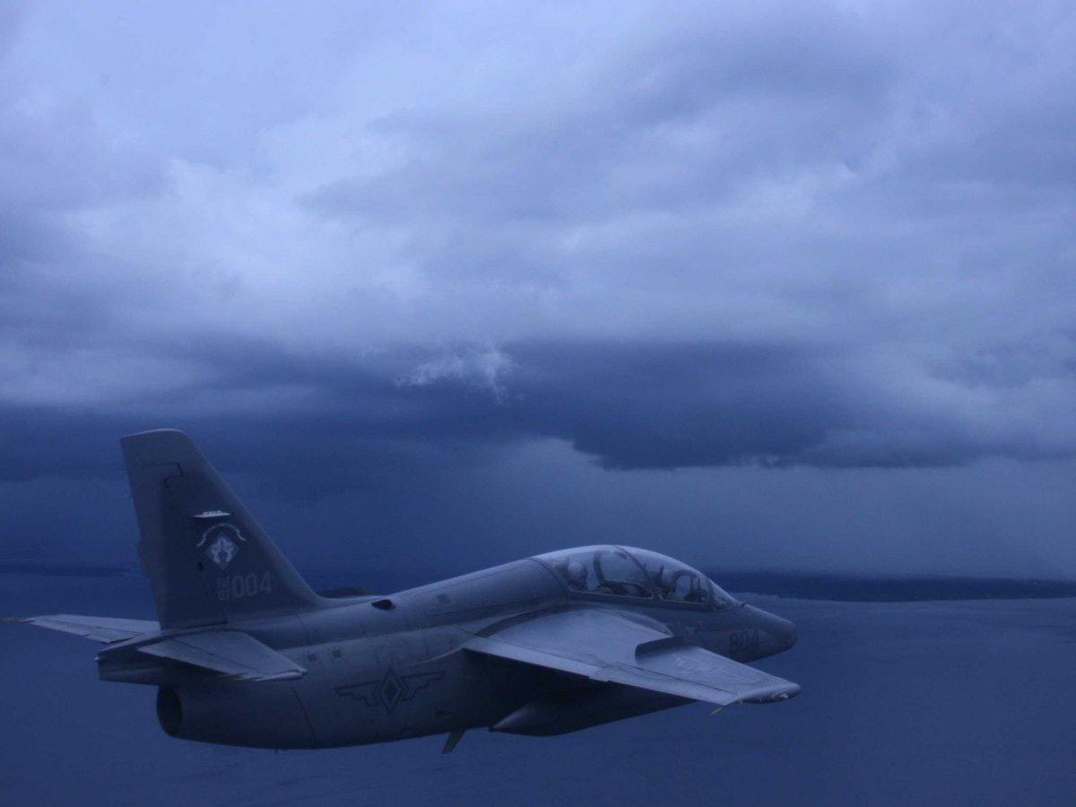 Biệt thự không phải là điều duy nhất Ellison thích sưu tập. Ông cũng sở hữu một loạt các máy bay tư nhân, trong đó, chiếc máy bay phản lực Marchetti do Ý sản xuất có vẻ được ông ưu ái nhất.