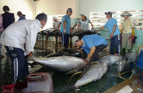  Đây là một trong ba mặt hàng thủy sản xuất khẩu chủ lực của Việt Nam.