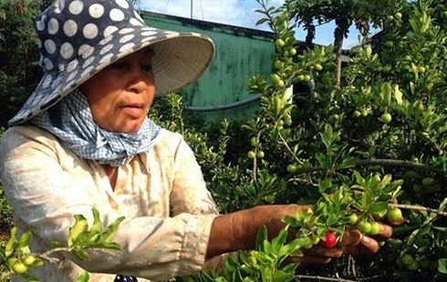 Trai so ri di Nhat hinh anh