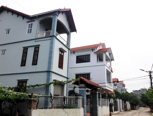 Đường đổ bê tông khang trang. Với sản lượng đạt 3000 tấn/năm, cây ổi găng đã đem lại cho người dân cuộc sống khấm khá hơn. Nhờ có loại cây đặc sản này mà không ít người dân trong vùng trở thành triệu phú.  Bà An (người làng Đông Dư) cho biết, bà thường hay bán ổi ven triền đê sông Hồng nhà có tới vài ba trăm gốc ổi ngoài bãi sông và cánh đồng làng. Mỗi ngày cụ bán được 50-60kg ổi găng với giá khoảng 20.000 đồng/kg, cả gia đình thu nhập trên 1 triệu đồng.