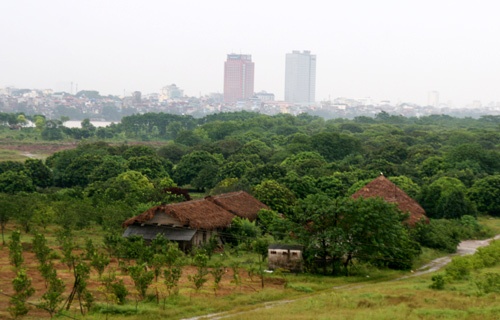 Nhiều trang trại nông nghiệp đất bãi. Đất bồi ven sông màu mỡ là điều kiện thuận lợi để canh tác nông nghiệp. Từ xưa, nhân dân cả nước đã từng biết đến rau cải bẹ Đông Dư tươi ngon, còn nay miền quê này lại nổi danh với nhiều loại cây trái như nhãn, bưởi, chuối, ổi....  Sản phẩm nông sản đã được xuất khẩu sang Đức, CH Séc, Nga, Pháp… được cấp giấy chứng nhận thương hiệu rau, quả an toàn. Thu nhập bình quân trên một hecta canh tác rau an toàn của xã trên dưới 200 triệu đồng, cây ăn trái đạt 150 triệu trên một hecta, cao gấp nhiều lần so với trồng lúa, trồng ngô.