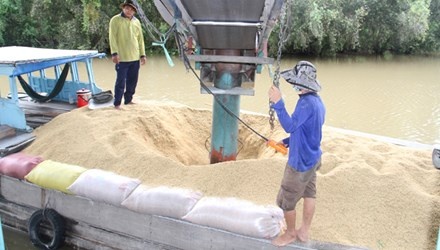 Gieo dien, gat mua vang hinh anh