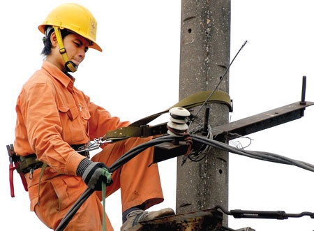 120 sep lon nhan luong 66 ty dong/nam hinh anh