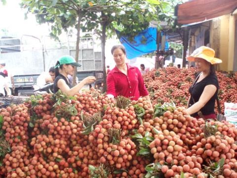 Nhan, vai sang My: Lo doanh nghiep tu pha gia, ep nhau hinh anh