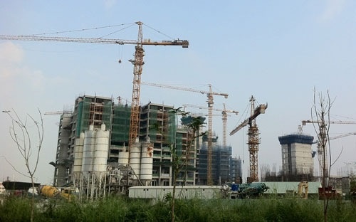 Dia oc co 'sot that' vao cuoi nam? hinh anh