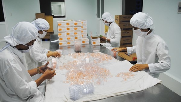 Giữa ma trận thuốc giá rẻ, chất lượng là vấn đề người bệnh quan tâm.