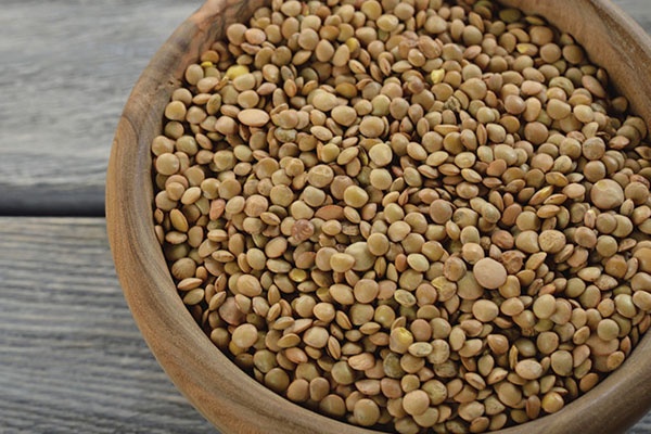 7. Đậu lăng  Các loại đậu không chỉ giàu protein mà còn chứa nhiều chất xơ, những chất dinh dưỡng quan trọng đối với việc cân bằng lượng đường trong máu và bạn sẽ cảm thấy hài lòng với bữa ăn hơn.