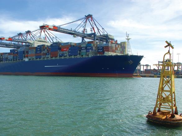 Vinalines se duoc thoai von sau hinh anh