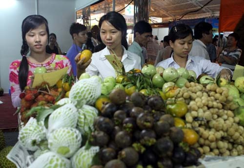 Them co hoi de trai cay Viet 'xuat ngoai' hinh anh