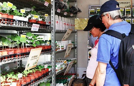 Ton ca ty USD nhap giong rau qua hinh anh