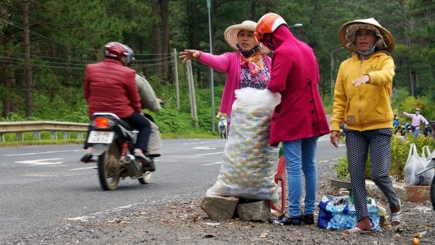 Ban 2 kg hong Da Lat chua mua du cay kem loai re hinh anh