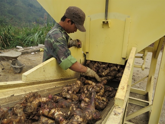 Nguoi dan Bac Kan long dong vi duoi gia dong rieng hinh anh