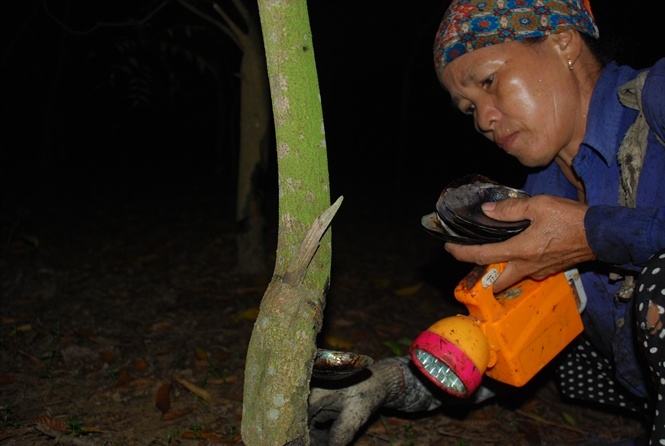 Noi dan ba lam viec 'am phu' hinh anh