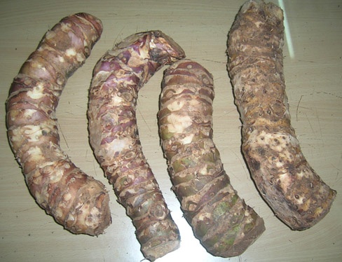 Nhung thao duoc ky quai tren dinh Tay Con Linh hinh anh