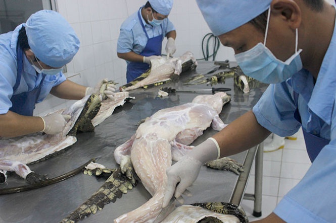 Thuong lai Trung Quoc lai gom mua ca sau hinh anh