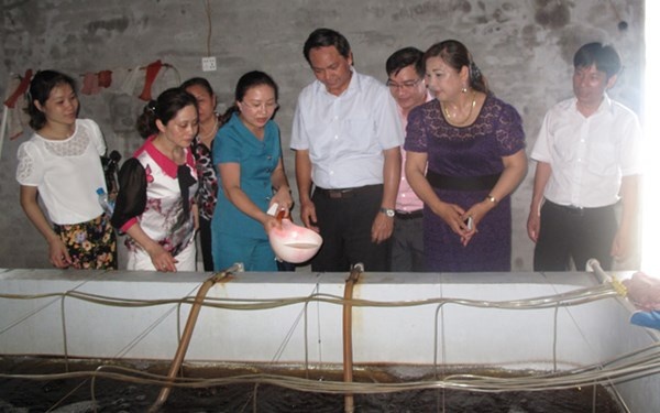 Nguoi phu nu bien bai hoang thanh trang trai tom tien ty hinh anh