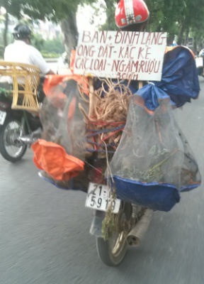 Anh Huy chở “hàng rừng” bán rong tại Hà Nội.